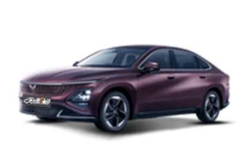 EV CHINA Vehicle Sales List February 2024